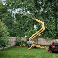 Best Lawn Mowing  in Montgomery, GA