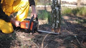 Best Leaf Removal  in Montgomery, GA