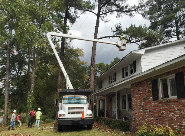 Landscape Design and Installation in Montgomery, GA